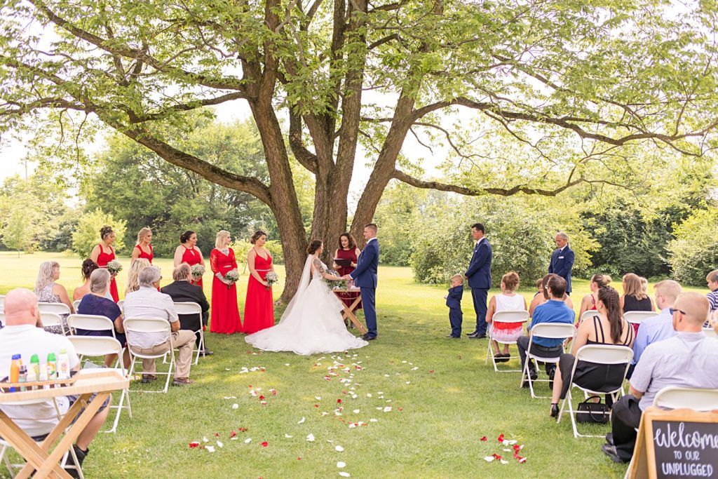 Wedding at the Willow Tree Tipp City Ohio