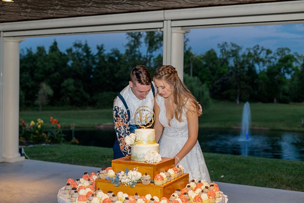 Cake cutting at a wedding in springfield ohio